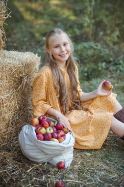Güzel bir kızın portresi yeni toplanmış taze elmaların yanında duruyor.