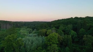 Ufuk manzaralı ve akşam gökyüzü manzaralı yoğun yeşil ormanın üzerinde uçan hava aracı videosu