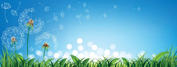 Dandelions Blue Sky Fresh Green Grass Light Bokeh Spring Summer — Stock Vector