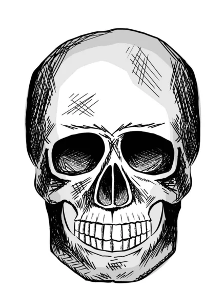 Black White Sketch Human Skull — Stock Vector