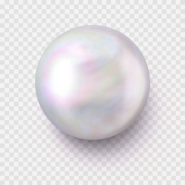 İzole Gerçekçi Tek Parlak İnci Şeffaf Arkaplanda Gölgesi Var
