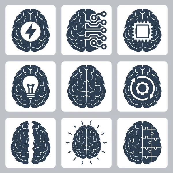 Set Icone Vettoriali Correlate Alla Funzione Cerebrale Cognitiva — Vettoriale Stock
