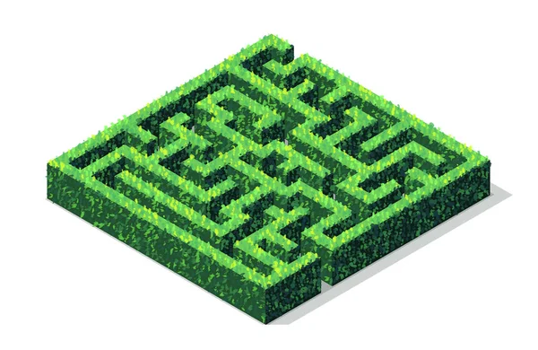 Vector Isometric Green Hedge Maze Labyrinth — Stock Vector
