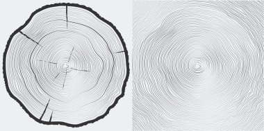 Vektör testereli ağaç gövdesi ve ağaç halkaları arka planı