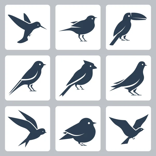 Birds Vector Icon Set — Stock Vector