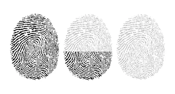 Vector Fingerprint Consisting Binary Code — Stock Vector