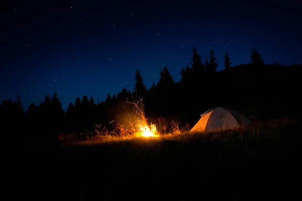 Campfire camping at night under a starry sky in the mountains