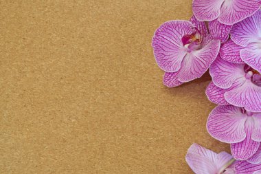 mor ve beyaz orkide yaprakları kahverengi desenli arka planda kartpostal çerçevesi gibi yalan söyler, boşluğu kopyala