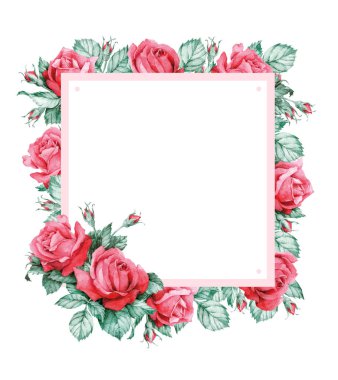 kare kırmızı güller