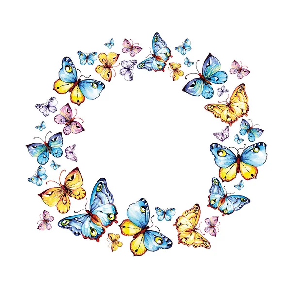 Круг синих бабочек — стоковое фото