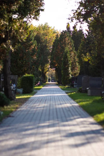 Polish cemetary before the All Saints Day. Sunny autumn scenery. Graves in sunlight.