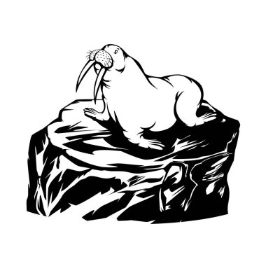 Güzel bir doğrusal çene