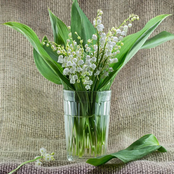 Bouquet Lys Vallée Dans Simple Vase Verre Sur Une Table — Photo