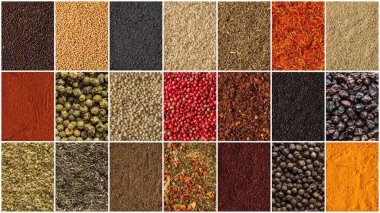 Kolaj farklı otlar ve baharatlar arka plan. Otlar ve baharatlar koleksiyonu