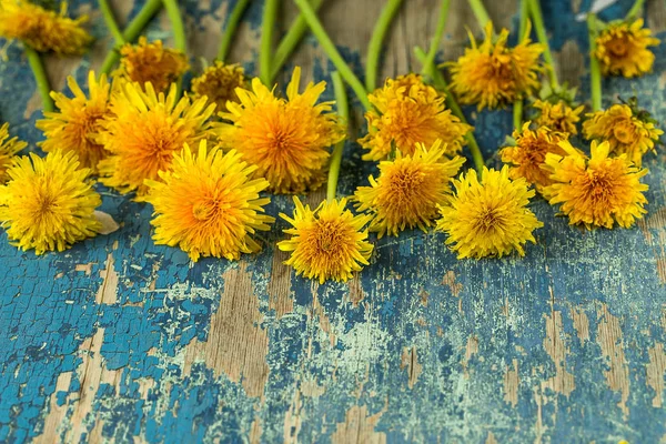 Gula Maskrosor Rustika Trä Yta Blommig Bakgrund Våren Bakgrund Med — Stockfoto