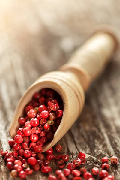 Ahşap masa bir kaşık kırmızı karabiber. Baharat ve otlar tahta kaşıklar içinde yemek pişirmek için. Organik gıda, sağlıklı yaşam, alan metin, afiş