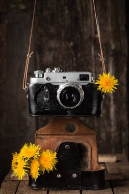 Eski kamera ve sarı dandelions. Vintage natürmort