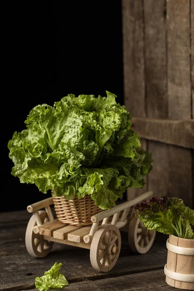 Fresh Green Lettuce Salad Wooden Cart Organic Fresh Harvested Vegetables — Stock Photo, Image