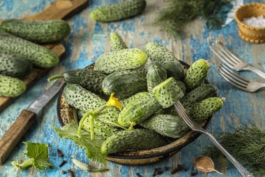 Antika ahşap masa üzerinde bir kase taze salatalık. Sağlıklı beslenme kavramı. Vejetaryen yiyecekler. sebze arka plan