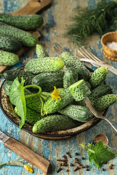 Antika ahşap masa üzerinde bir kase taze salatalık. Sağlıklı beslenme kavramı. Vejetaryen yiyecekler. sebze arka plan