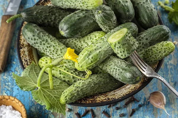 Antika ahşap masa üzerinde bir kase taze salatalık. Sağlıklı beslenme kavramı. Vejetaryen yiyecekler. sebze arka plan