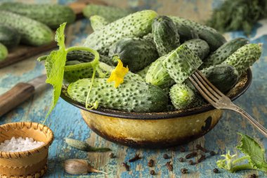 Antika ahşap masa üzerinde bir kase taze salatalık. Sağlıklı beslenme kavramı. Vejetaryen yiyecekler. sebze arka plan