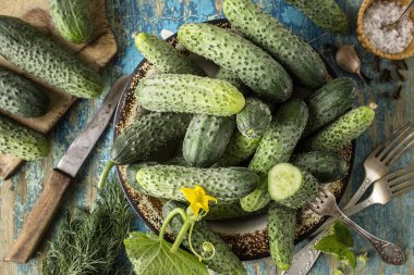 Antika ahşap masa üzerinde bir kase taze salatalık. Sağlıklı beslenme kavramı. Vejetaryen yiyecekler. sebze arka plan