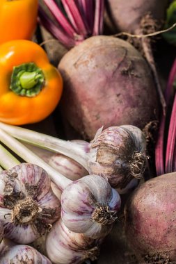     Ahşap arka plan üzerinde taze sebze. Sebze hasat. Organik taze hasat sebzeler