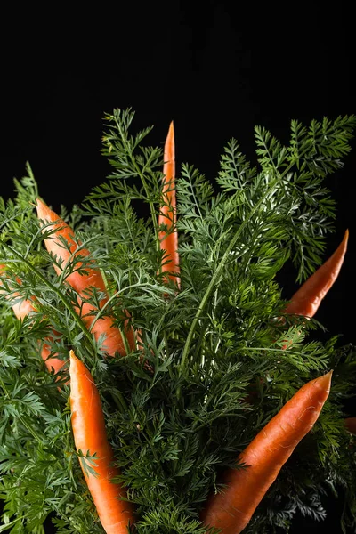 An original vegetable bouquet consisting of carrots, is stand in a glass vase. Vegetables harvest. Organic fresh harvested vegetables