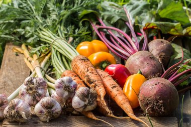     Ahşap arka plan üzerinde taze sebze. Sebze hasat. Organik taze hasat sebzeler