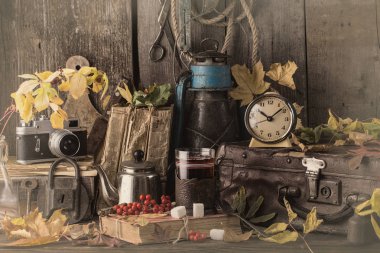  Kitaplar, vintage çanta ile sonbahar natürmort. tonda fotoğraf