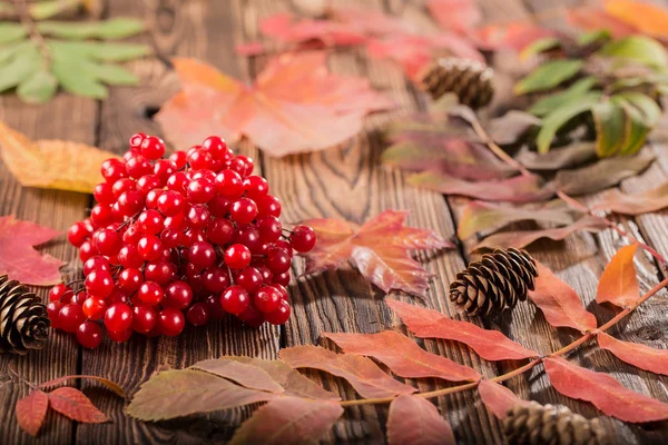 Bayas viburnum con hojas de otoño sobre fondo de madera —  Fotos de Stock