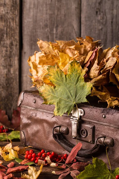 Maleta retro con hojas de otoño sobre fondo de madera . —  Fotos de Stock