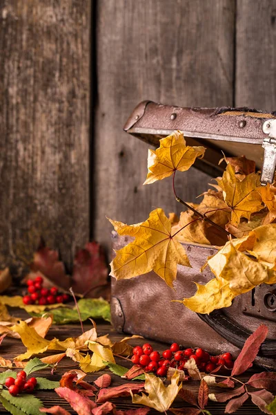 Maleta Retro Con Hojas Otoño Sobre Fondo Madera Bodegón Otoño —  Fotos de Stock