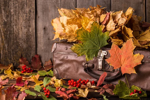 Retro çanta ahşap arka plan üzerinde sonbahar yaprakları ile. Sonbahar natürmort. Sarı akçaağaç yaprakları dolu çanta 