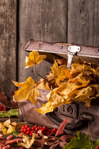 Maleta Retro Con Hojas Otoño Sobre Fondo Madera Bodegón Otoño —  Fotos de Stock