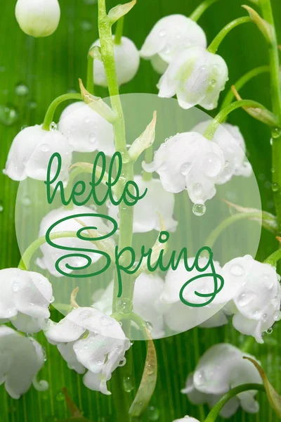 Hello Spring napis karty. Lilie doliny — Zdjęcie stockowe