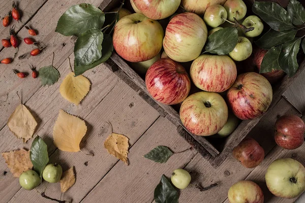 Manzanas rojas y verdes en mesa de madera vintage . —  Fotos de Stock