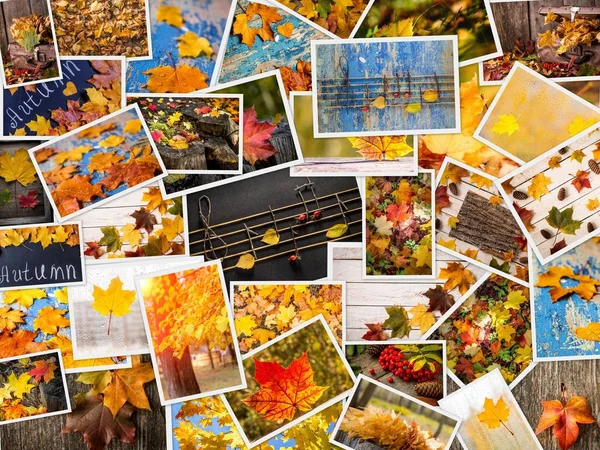 Colorido collage de otoño. Otoño creativo conjunto de fotos —  Fotos de Stock