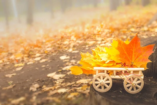 Hojas de otoño en un carro de madera. enfoque selectivo suave —  Fotos de Stock