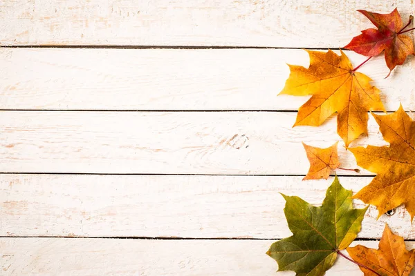 Folhas de outono coloridas em fundo branco rústico . — Fotografia de Stock