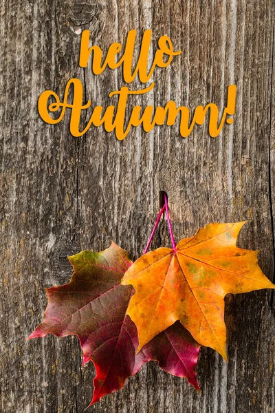 Fundo de outono com letras Hello Autumn e folhas de outono — Fotografia de Stock