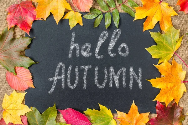 Fundo de outono com letras Hello Autumn, folhas de outono . — Fotografia de Stock