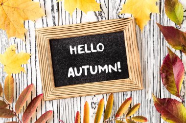 Chalkboard merhaba sonbahar tebrik metni. Üstte görüntü