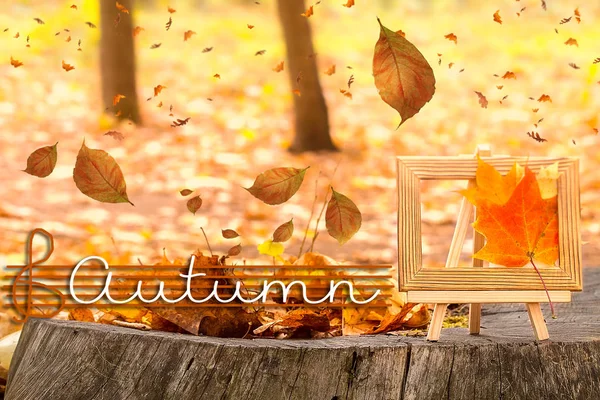 AUTUMN lettering card. Maple Leaves on tree cut. — Stock Photo, Image