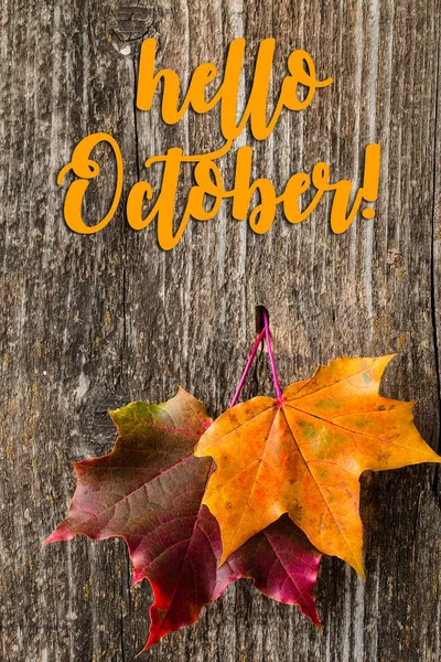 Autumn background with HELLO OCTOBER letters and autumn leaves — Stock Photo, Image