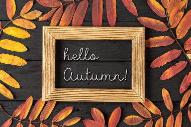 Tahta üzerinde Merhaba sonbahar beyaz tebeşir yazı. Sonbahar sezonu kavramı