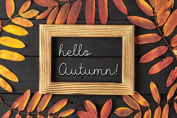 Olá Autumn branco giz letras no quadro negro. Conceito da época de outono — Fotografia de Stock