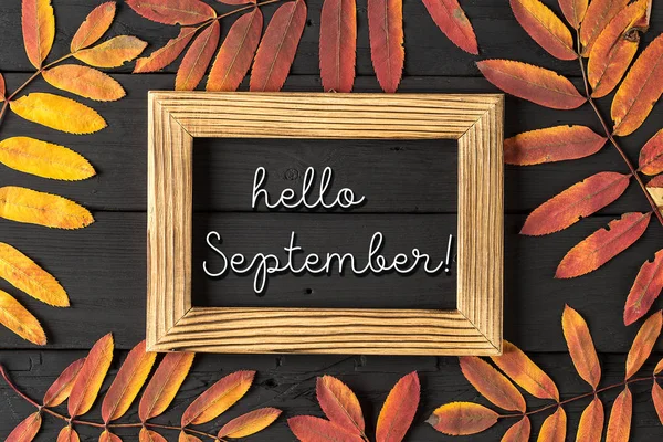 Hello September lettering card. Concept of the fall season — Stock Photo, Image