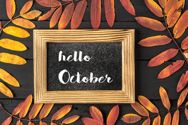 HELLO OCTOBER lettering card. Concept of the fall season